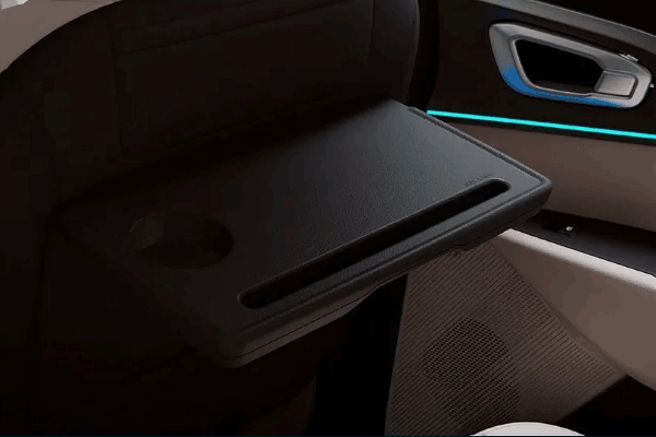 Rear Seat Tray Table